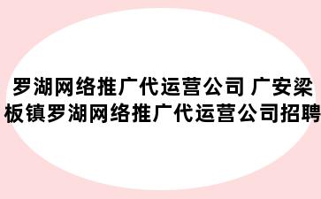 罗湖网络推广代运营公司 广安梁板镇罗湖网络推广代运营公司招聘